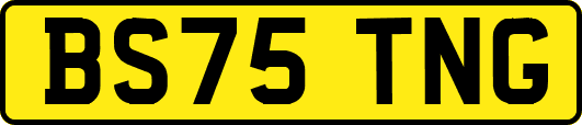 BS75TNG