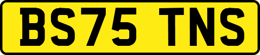 BS75TNS