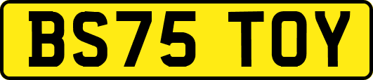BS75TOY