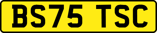 BS75TSC