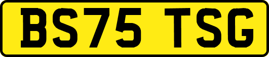 BS75TSG