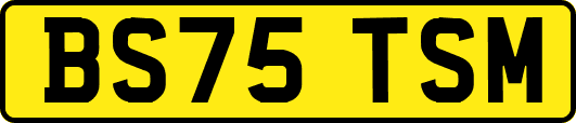 BS75TSM