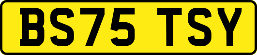 BS75TSY