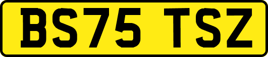 BS75TSZ