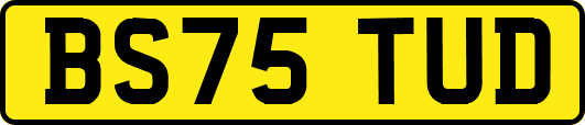 BS75TUD