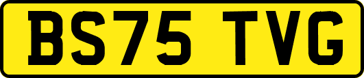 BS75TVG