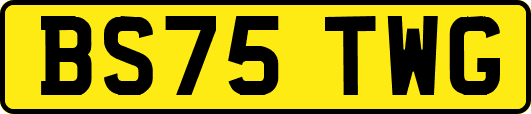 BS75TWG