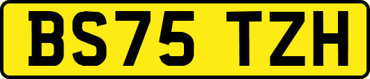BS75TZH