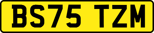 BS75TZM