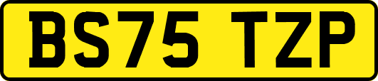 BS75TZP
