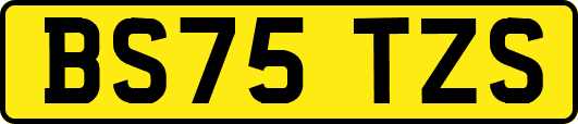 BS75TZS