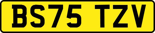 BS75TZV