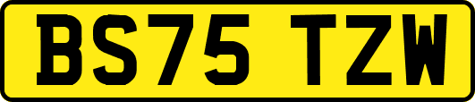 BS75TZW
