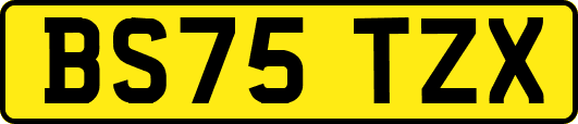 BS75TZX