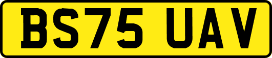 BS75UAV