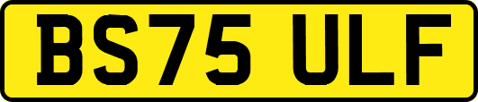 BS75ULF