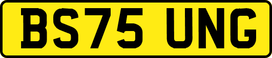 BS75UNG