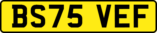 BS75VEF
