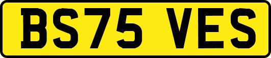 BS75VES