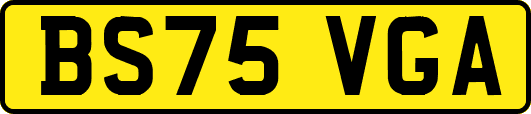 BS75VGA
