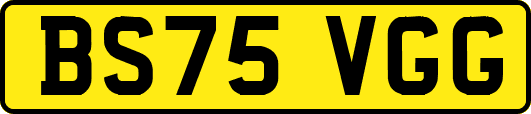 BS75VGG