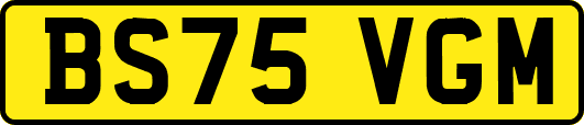 BS75VGM