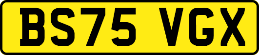 BS75VGX