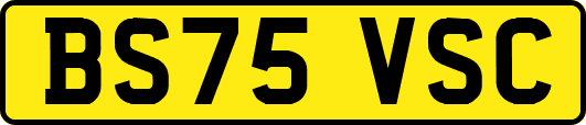 BS75VSC