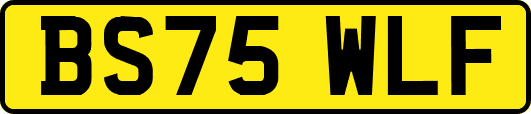 BS75WLF