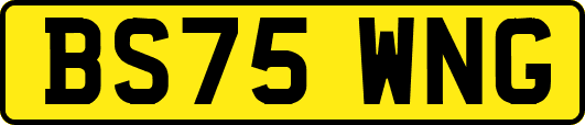 BS75WNG