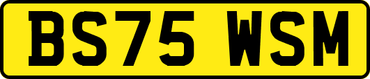 BS75WSM