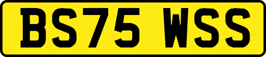 BS75WSS