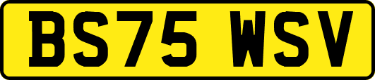 BS75WSV