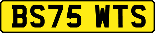 BS75WTS