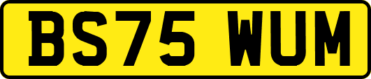 BS75WUM