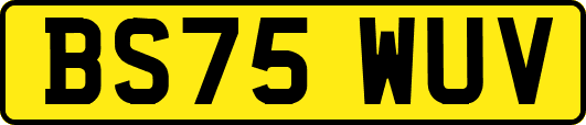 BS75WUV