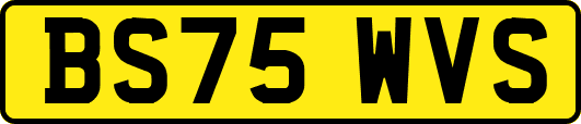BS75WVS
