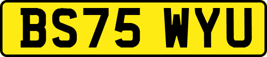 BS75WYU