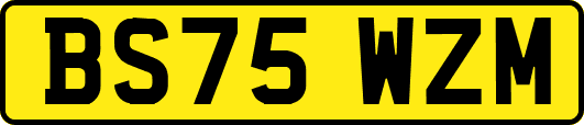 BS75WZM