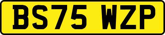 BS75WZP