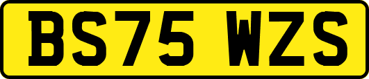 BS75WZS