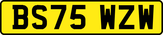 BS75WZW
