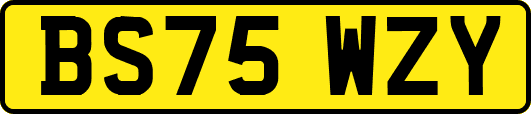 BS75WZY