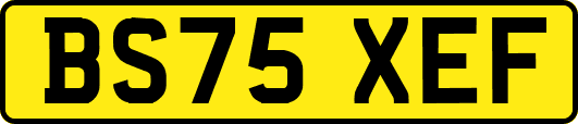 BS75XEF