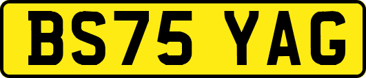 BS75YAG