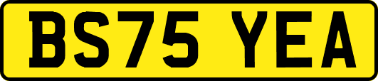 BS75YEA