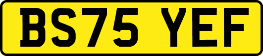 BS75YEF