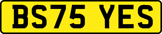 BS75YES