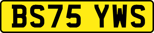BS75YWS