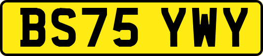 BS75YWY